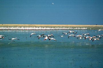 fotonoticia_20160202111112_800