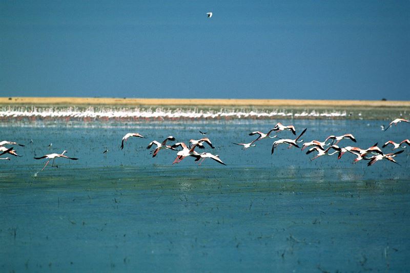 fotonoticia20160202111112800  El Digital de Asturias