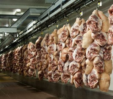 fotonoticia_20160203195040_800