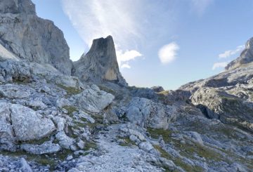 fotonoticia_20160204095234_800