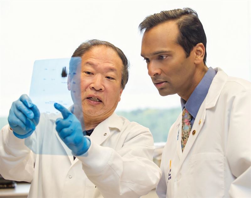 Científicos hallan una interacción clave sobre