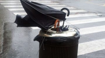 fotonoticia_20160208140339_800-655x360