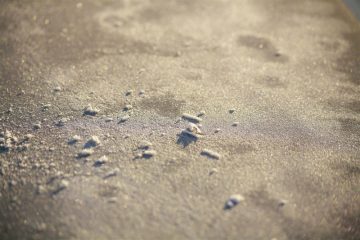 fotonoticia_20160211172805_800