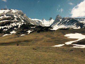 fotonoticia_20160212173220_800