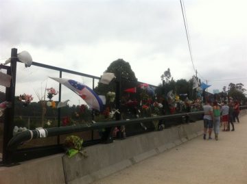 fotonoticia_20160216174816_800