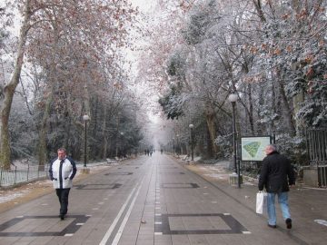 fotonoticia_20160216182943_800