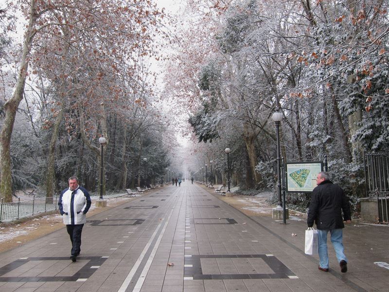 fotonoticia20160216182943800 El Digital de Asturias