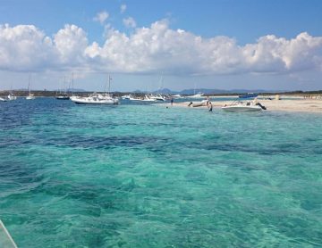 fotonoticia_20160217171526_800