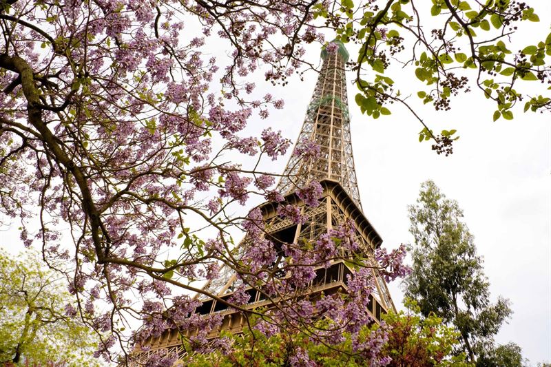 Renfe-SNCF en Cooperación inicia la venta de billetes a Francia para verano