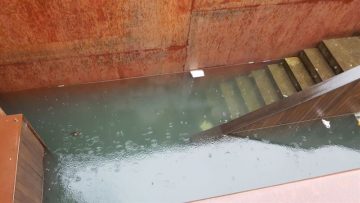 fotonoticia_20160309191006_800