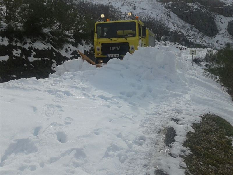 fotonoticia20160310092023800 El Digital de Asturias