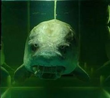 fotonoticia_20160310104233_800