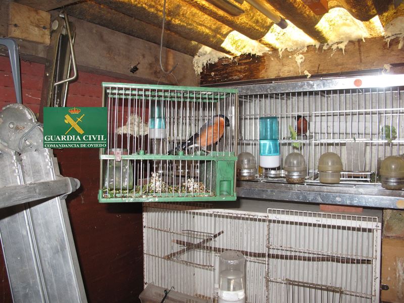 fotonoticia20160311143818800 El Digital de Asturias