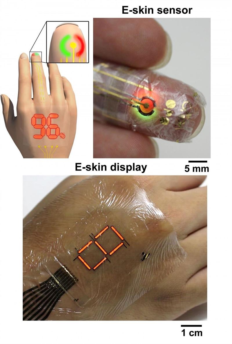 Desarrollan un material orgánico que mejora los dispositivos de e-piel
