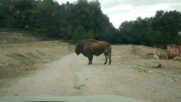 fotonoticia_20160427190732_800