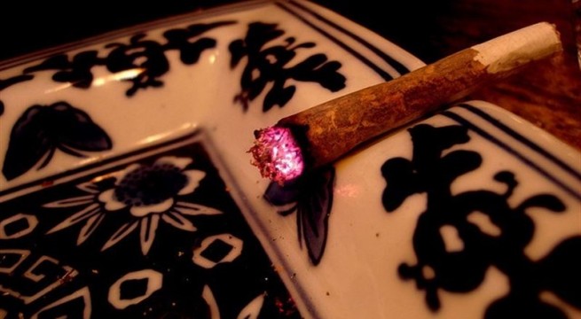 Cannabis El Digital de Asturias