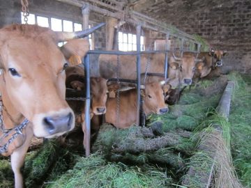 fotonoticia_20160506120521_800