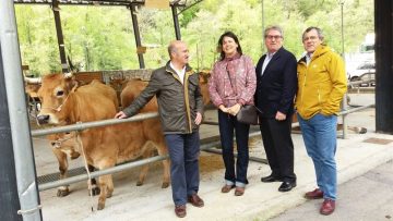 fotonoticia20160507154520800  El Digital de Asturias fotonoticia_20160507154520_800
