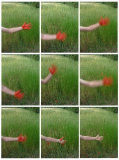 fotonoticia_20160509184738_800