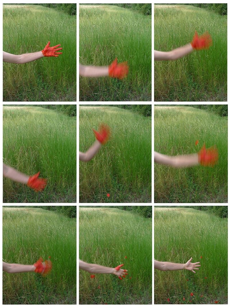 fotonoticia20160509184738800 El Digital de Asturias