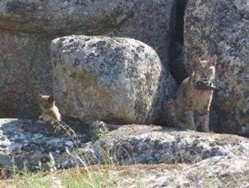 fotonoticia_20160520120953_800