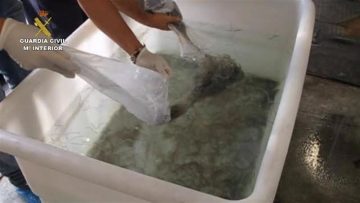 fotonoticia_20160521133142_800