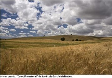 fotonoticia_20160524140639_800