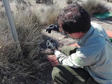 fotonoticia_20160525130548_800