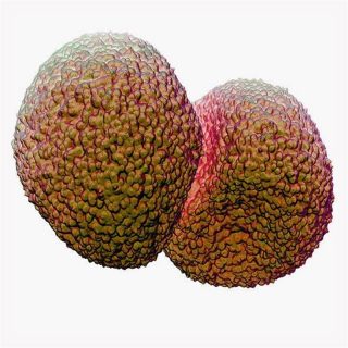 fotonoticia_20160527071536_800