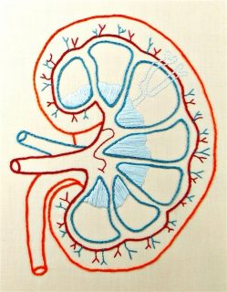 fotonoticia_20160527075332_800