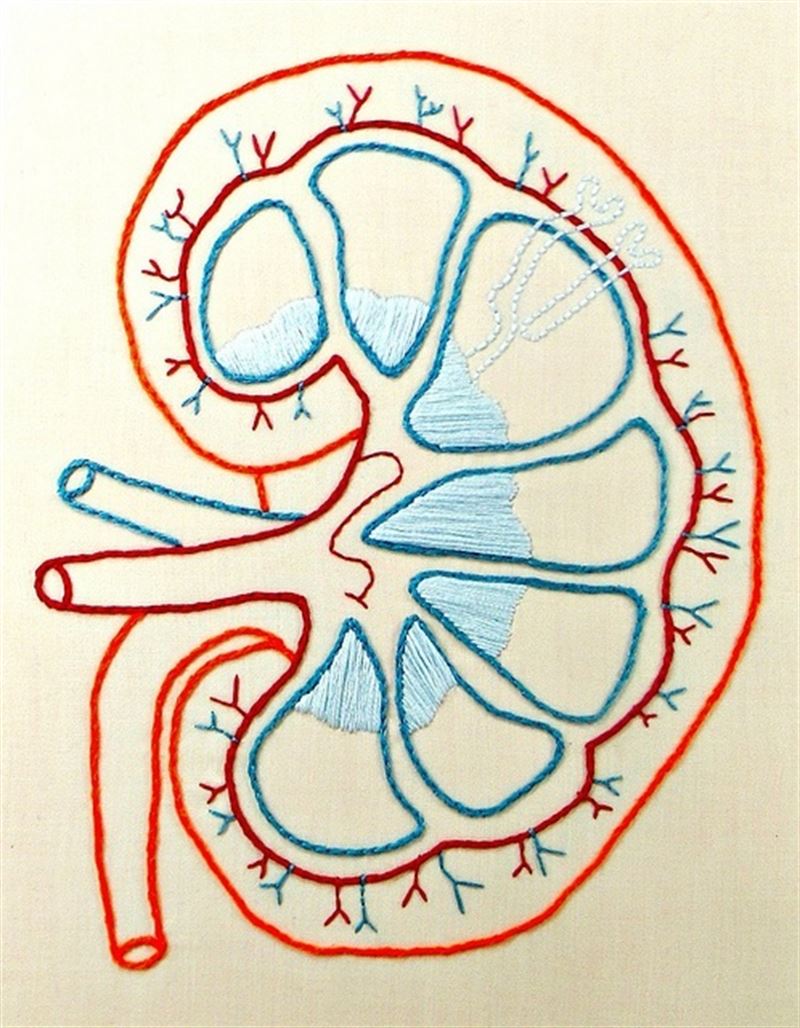 fotonoticia20160527075332800 El Digital de Asturias