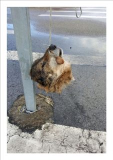 fotonoticia_20160530161712_800