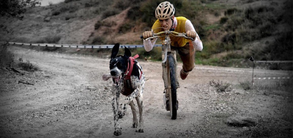 Bikejoring El Digital de Asturias