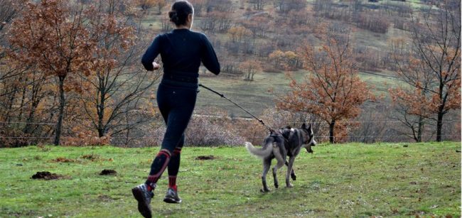Canicross El Digital de Asturias Canicross