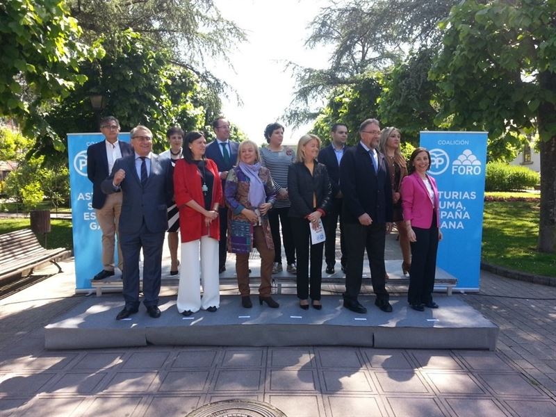 fotonoticia20160601143936800 El Digital de Asturias