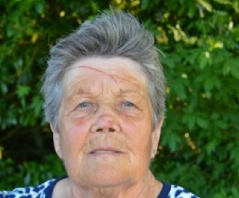 fotonoticia20160601174719800 El Digital de Asturias