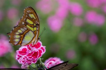 fotonoticia_20160602140815_800