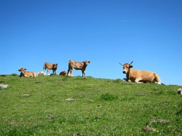 fotonoticia_20160602195855_800