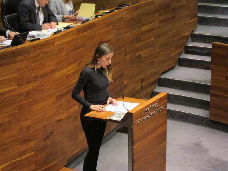 fotonoticia20160603120051800 El Digital de Asturias