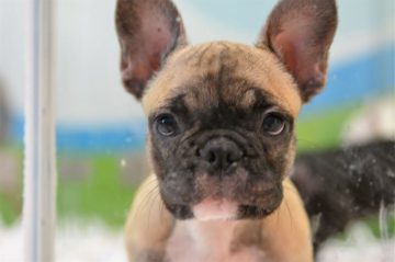 fotonoticia_20160604102942_800