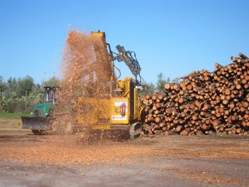 fotonoticia_20160604113318_800