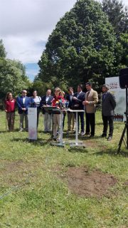 fotonoticia_20160606141332_800