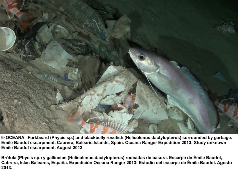 fotonoticia20160608130116800 El Digital de Asturias