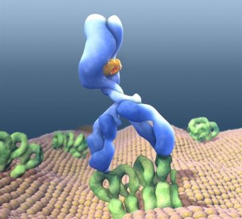 fotonoticia_20160608131447_800