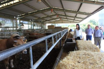 fotonoticia_20160608133214_800