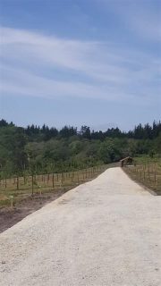 fotonoticia_20160610134226_800