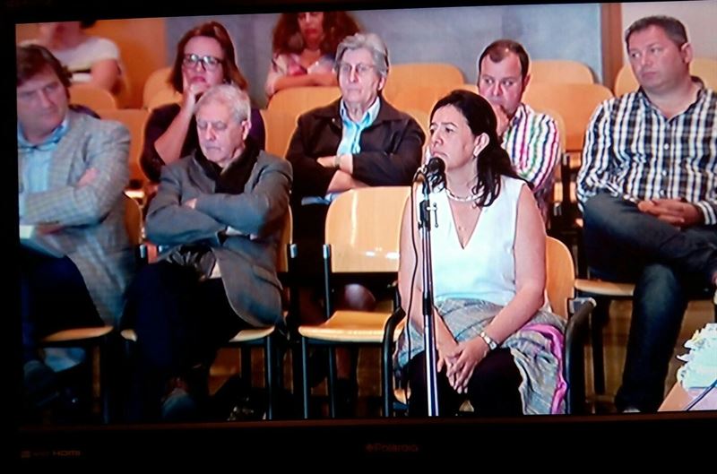 fotonoticia20160613112417800 El Digital de Asturias