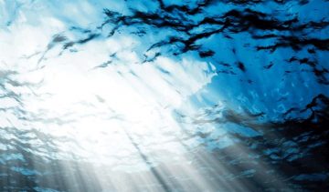 fotonoticia_20160614190109_800