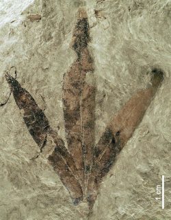 fotonoticia_20160615115327_800