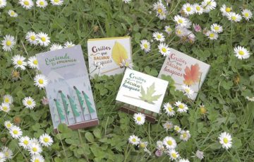 fotonoticia_20160616120703_800